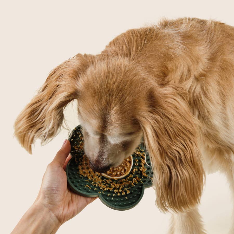 Silicone Dog Lick Mat Grooming Tool