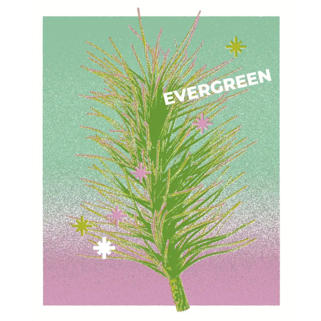 LOHN Holiday Candle- EVERGREEN Balsam Fir & Cedar