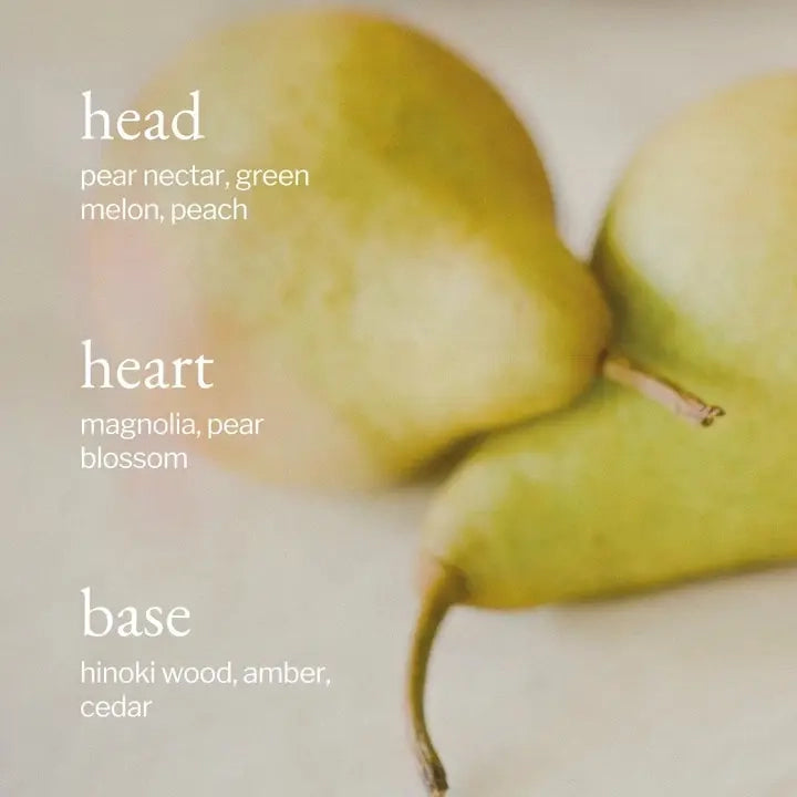 Liquid Hand Soap | Pear + Hinoki