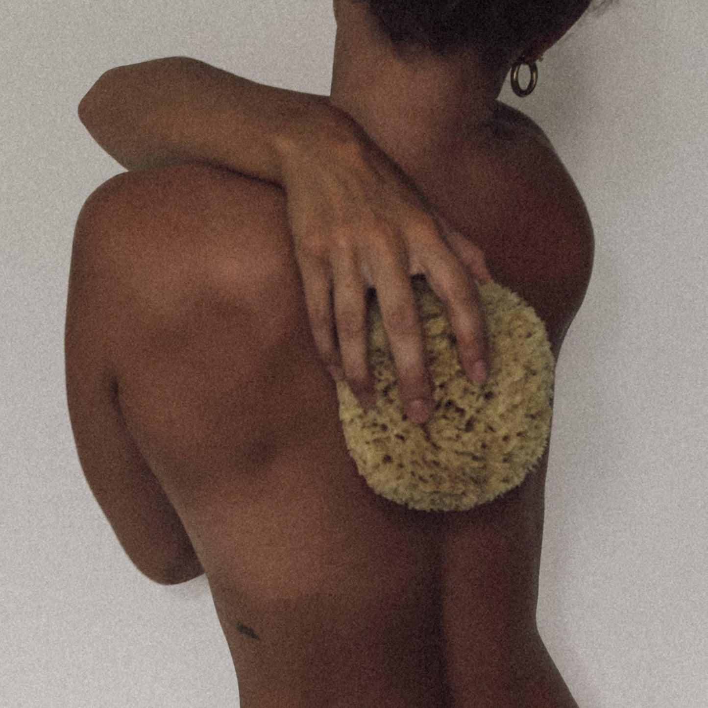 Sea Sponge - Large - 5-6"