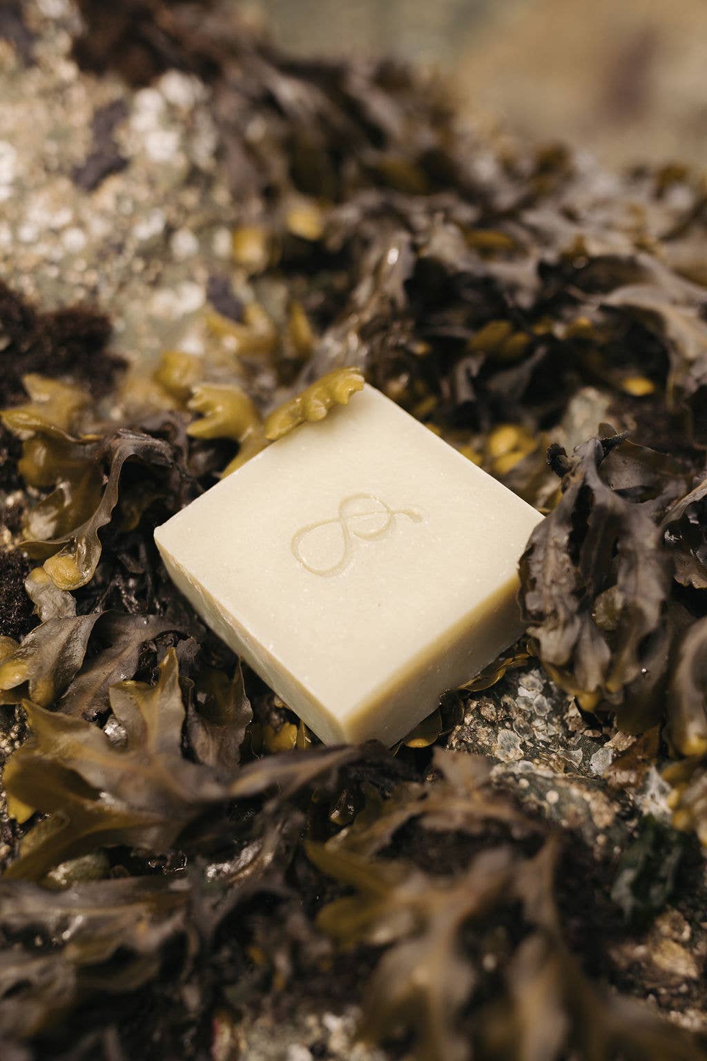 Coastal Garden Tallow Soap Bar | Peppermint, Rosemary, Sage