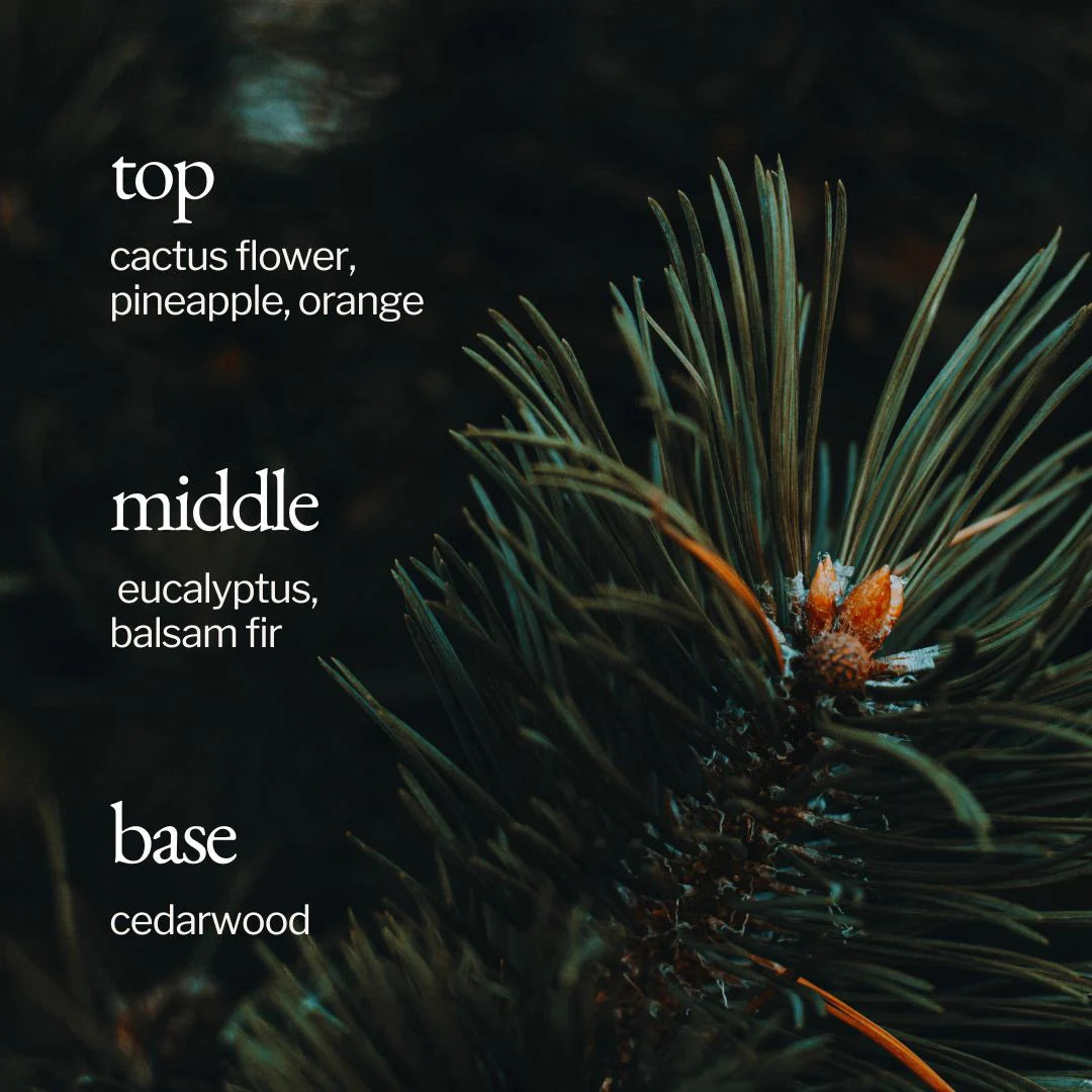 Liquid Hand Soap | Fir + Cactus Flower