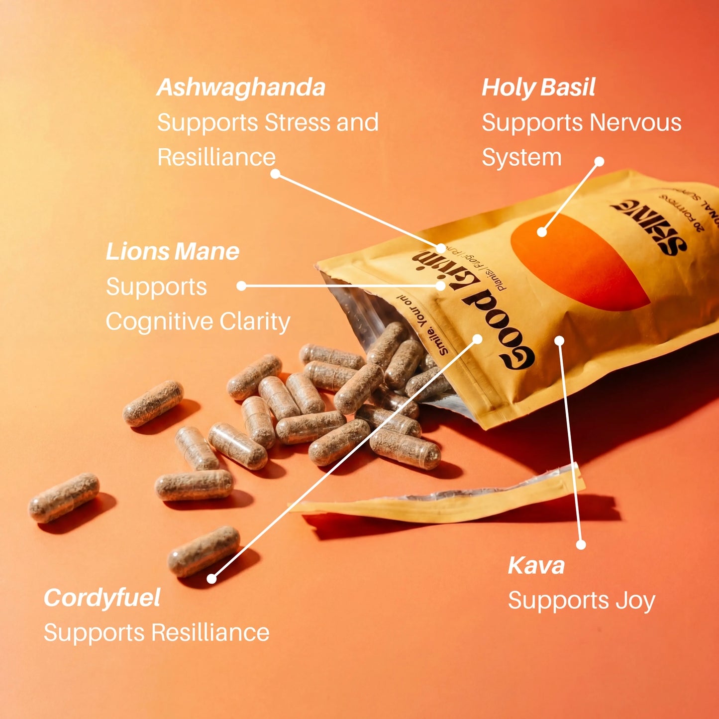 Shine Happiness Support