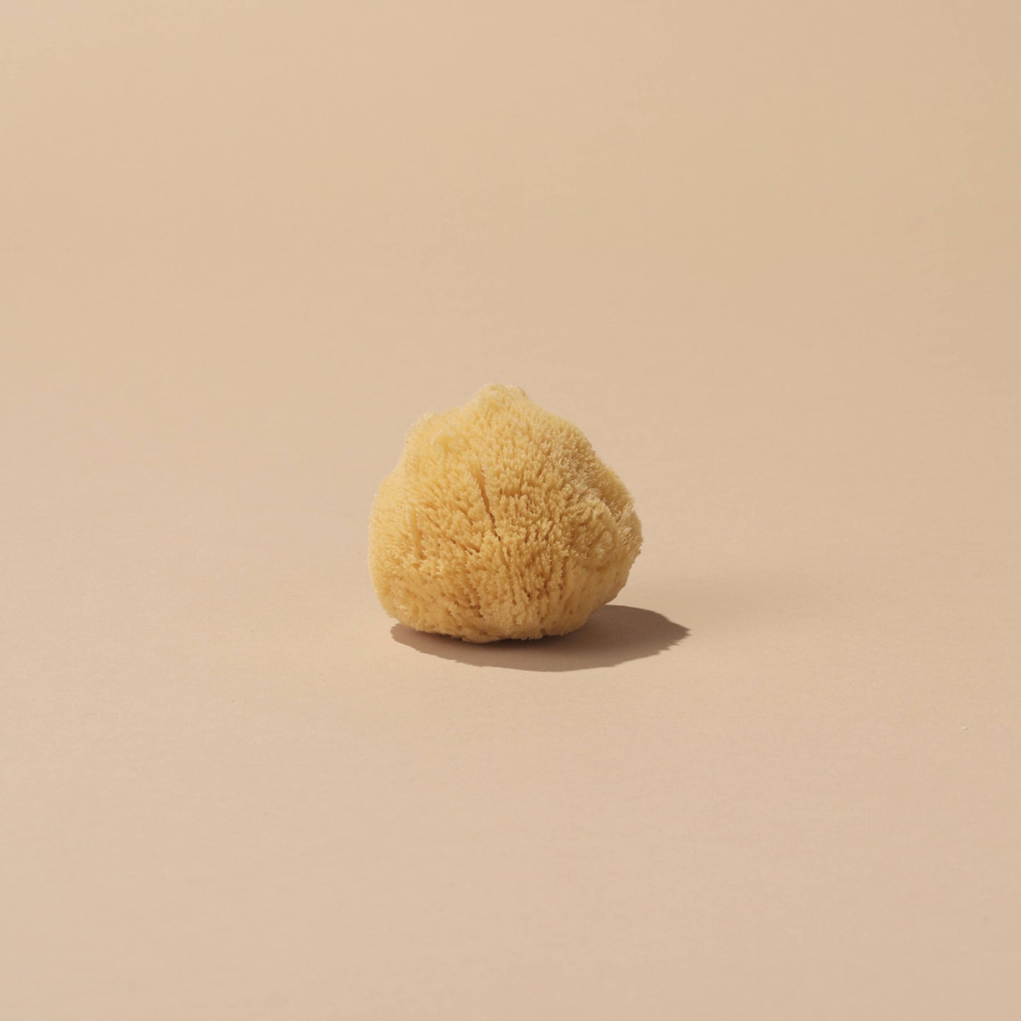Sea Sponge - Small - 2-3"