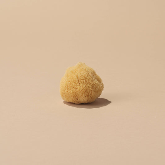 Sea Sponge - Small - 2-3"