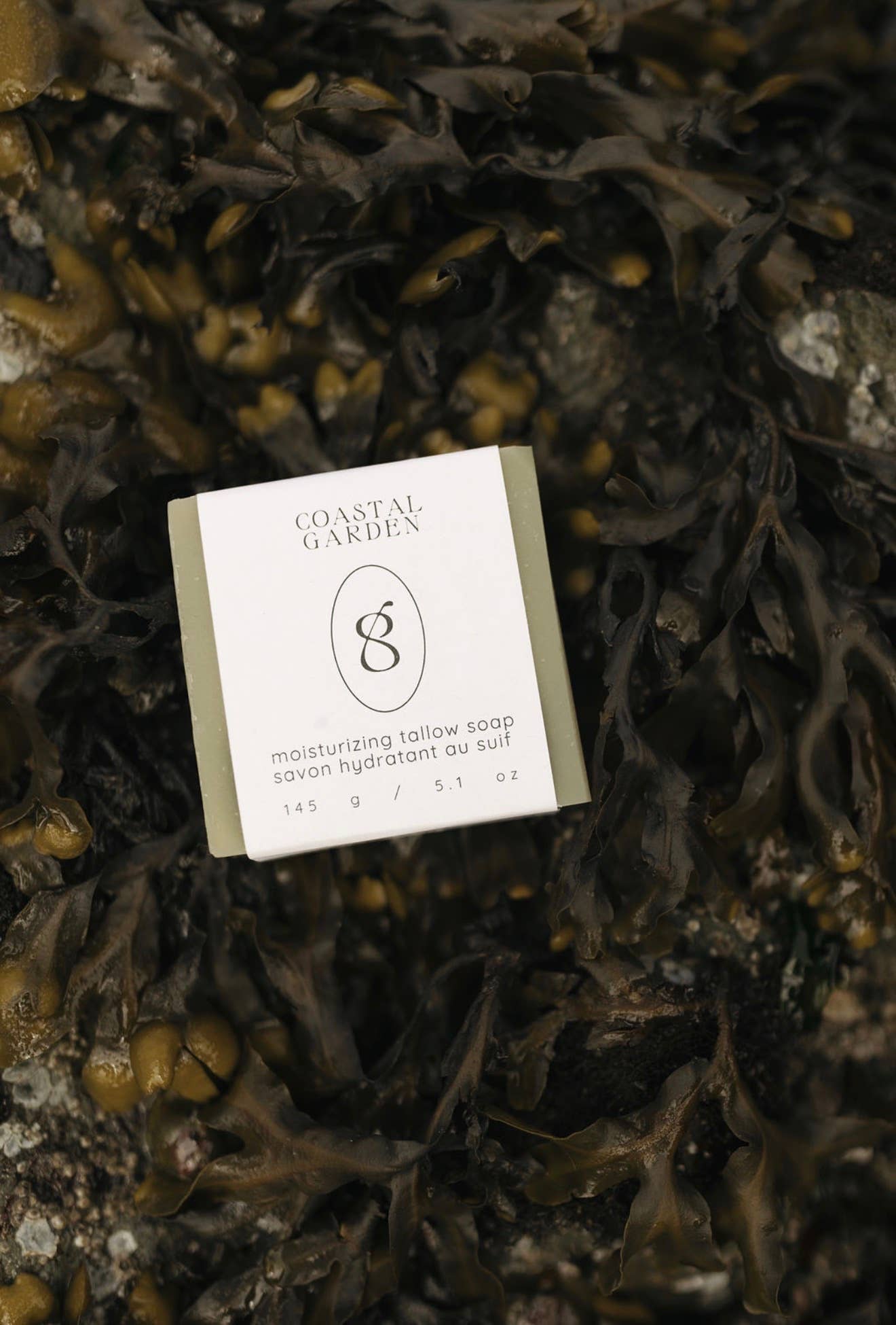 Coastal Garden Tallow Soap Bar | Peppermint, Rosemary, Sage