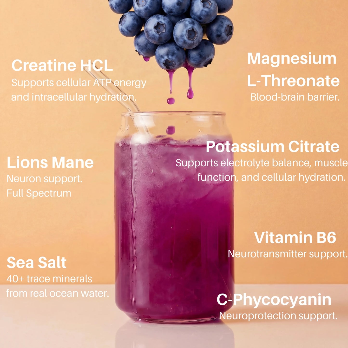 Salty Einstein - Hydration | Cognitive Function