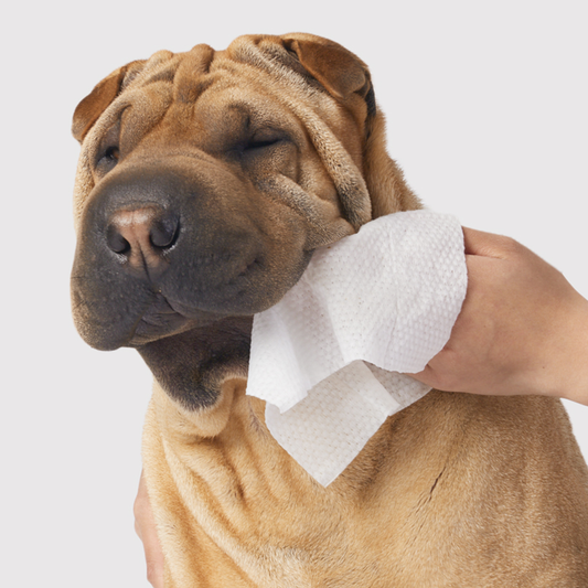 Gentle Cleanse Dog Wipes- 1 Pack of 30