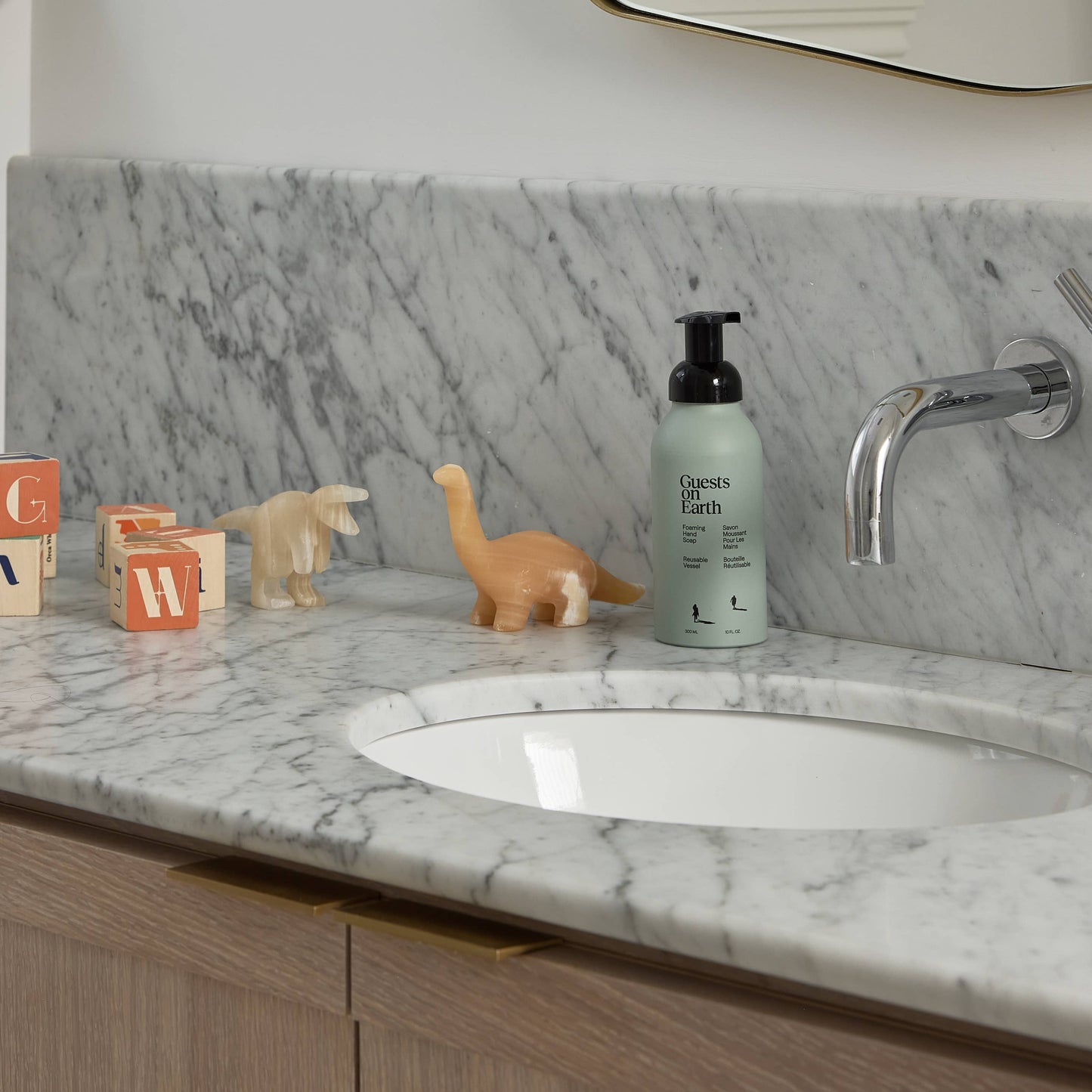 Foaming Hand Soap Starter Kit