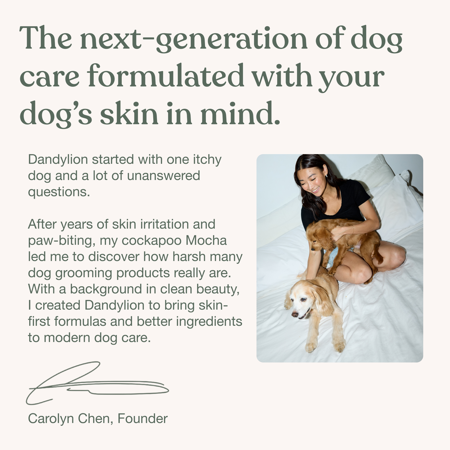 Gentle Cleanse Dog Wipes - 3 Packs of 30