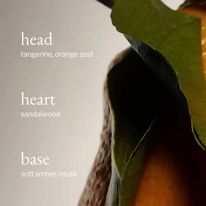 Portable Diffuser | Tangerine, Sandalwood & Amber