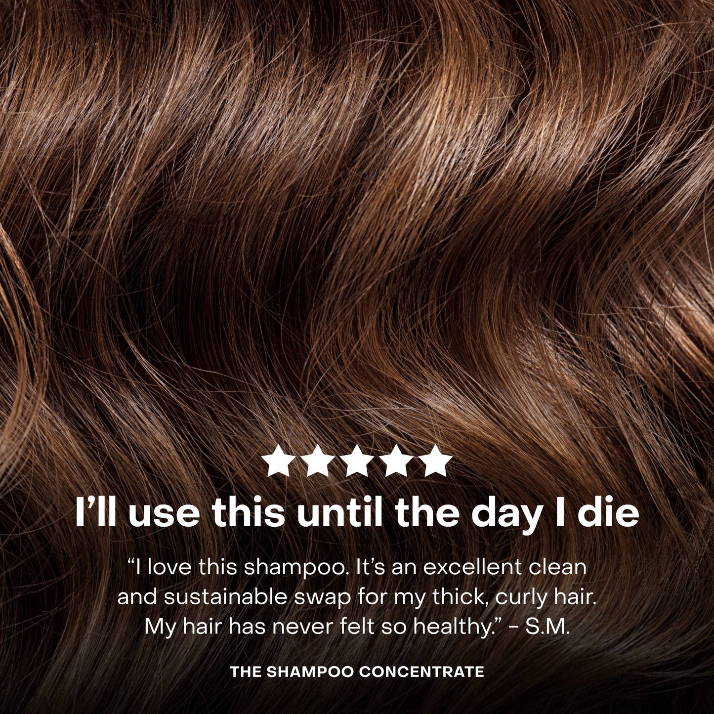 The Shampoo Concentrate Travel Mini