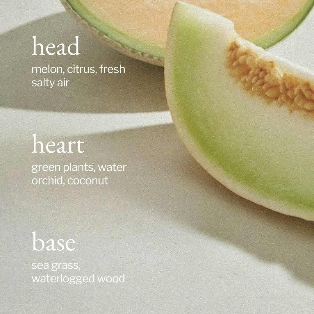 Reed Diffuser | Melon + Salty Air