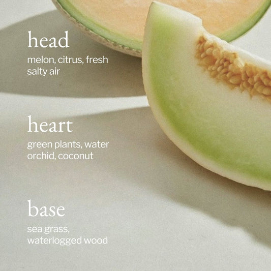 Reed Diffuser | Melon + Salty Air