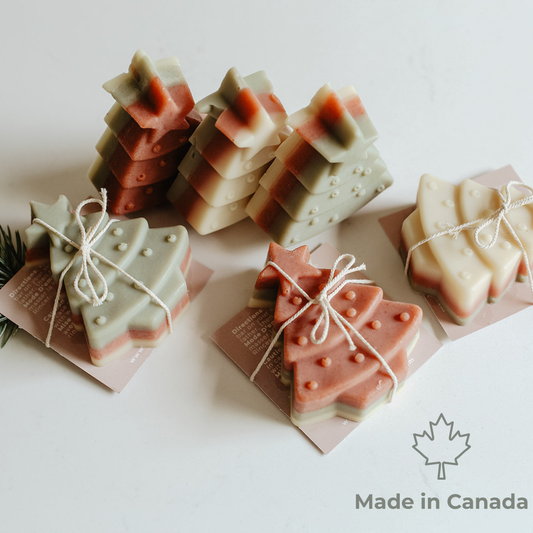 Evergreen Soap Bar: Holiday Collection - Made in Canada