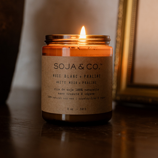 Soy Wax Candle | White Musk + Praline: 8oz - Wood Wick