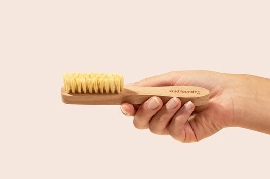 Tampico Brush