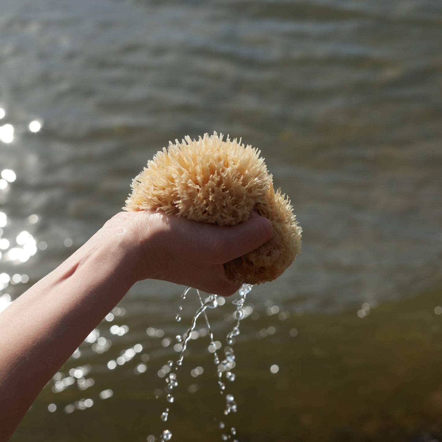 Sea Sponge - Medium - 4-5"