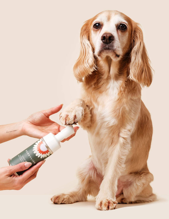 Load image into Gallery viewer, Refill - Clean Paws No-Rinse Foaming Cleanser
