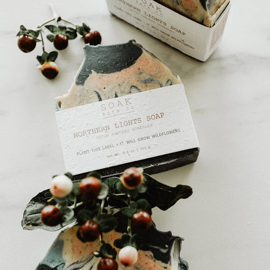 Northern Lights Soap Bar