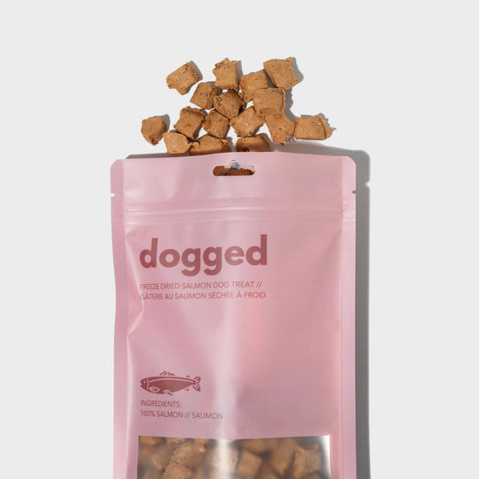 Freeze dried salmon dog treats