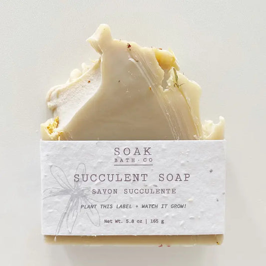Succulent Soap Bar