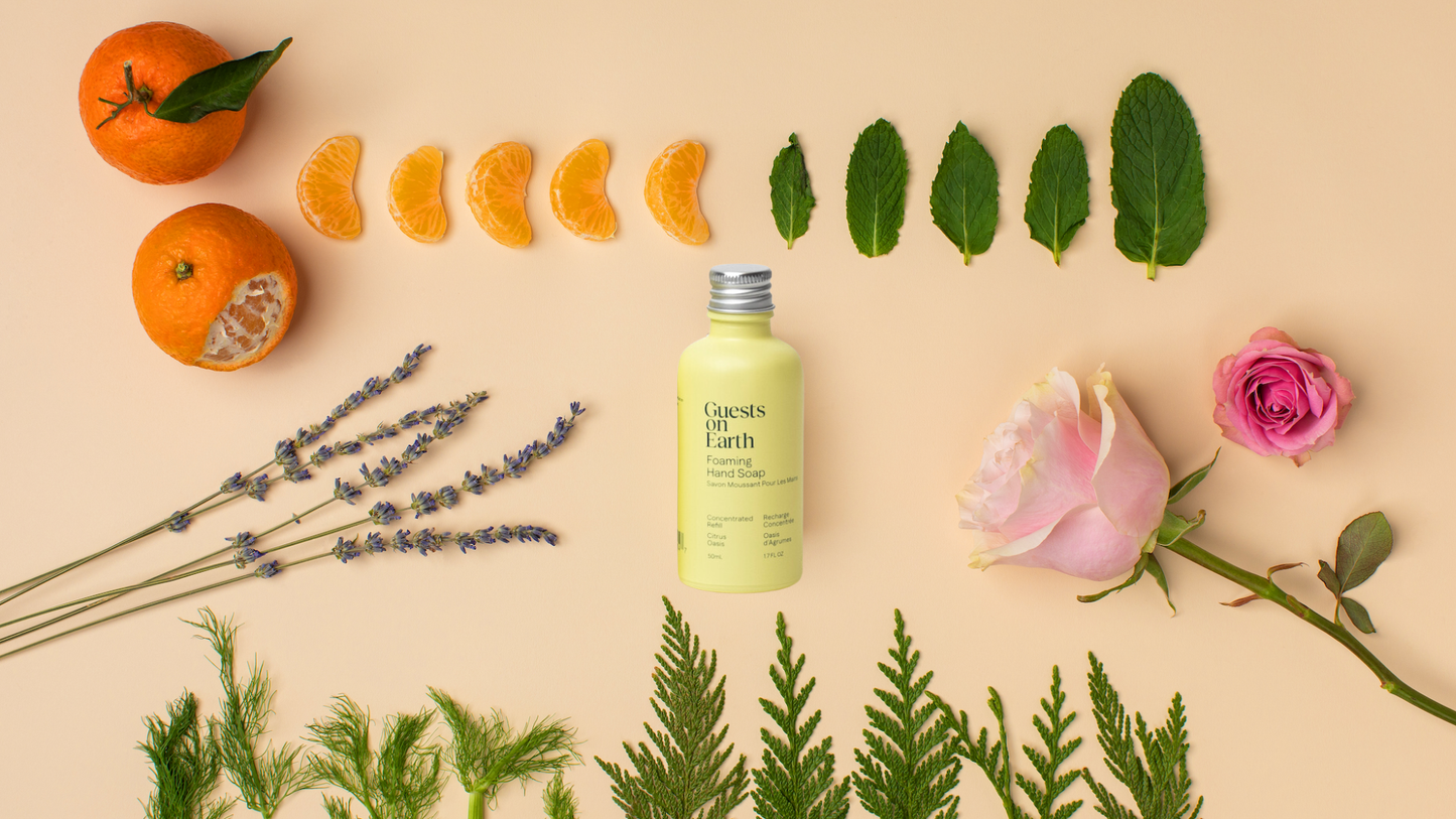 All-Purpose Cleaner Concentrated Refills