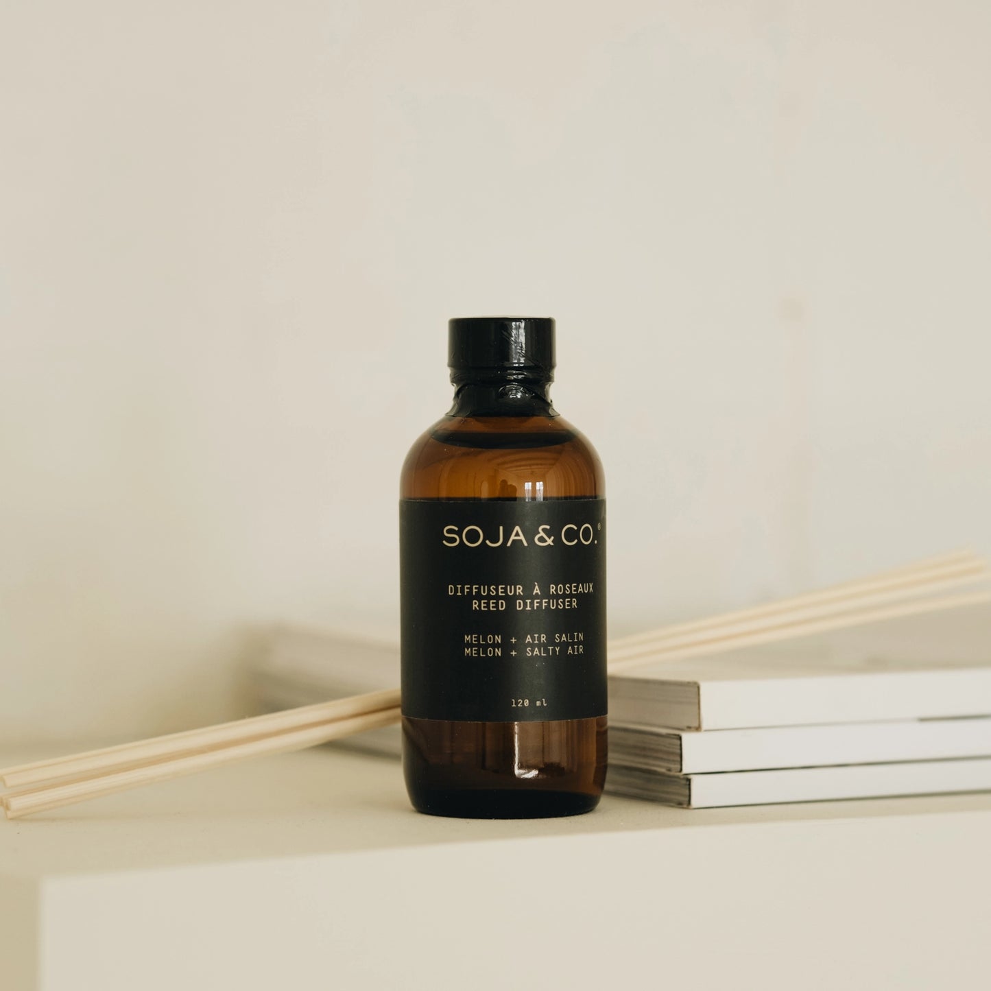 Reed Diffuser | Melon + Salty Air