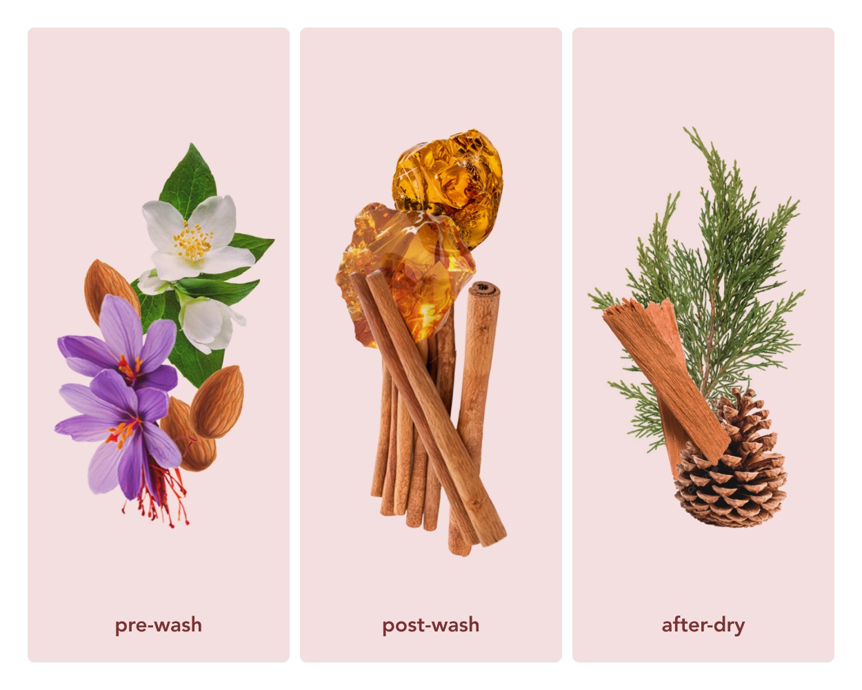 Zero Waste Laundry Detergent Sheets (Amber Rouge)