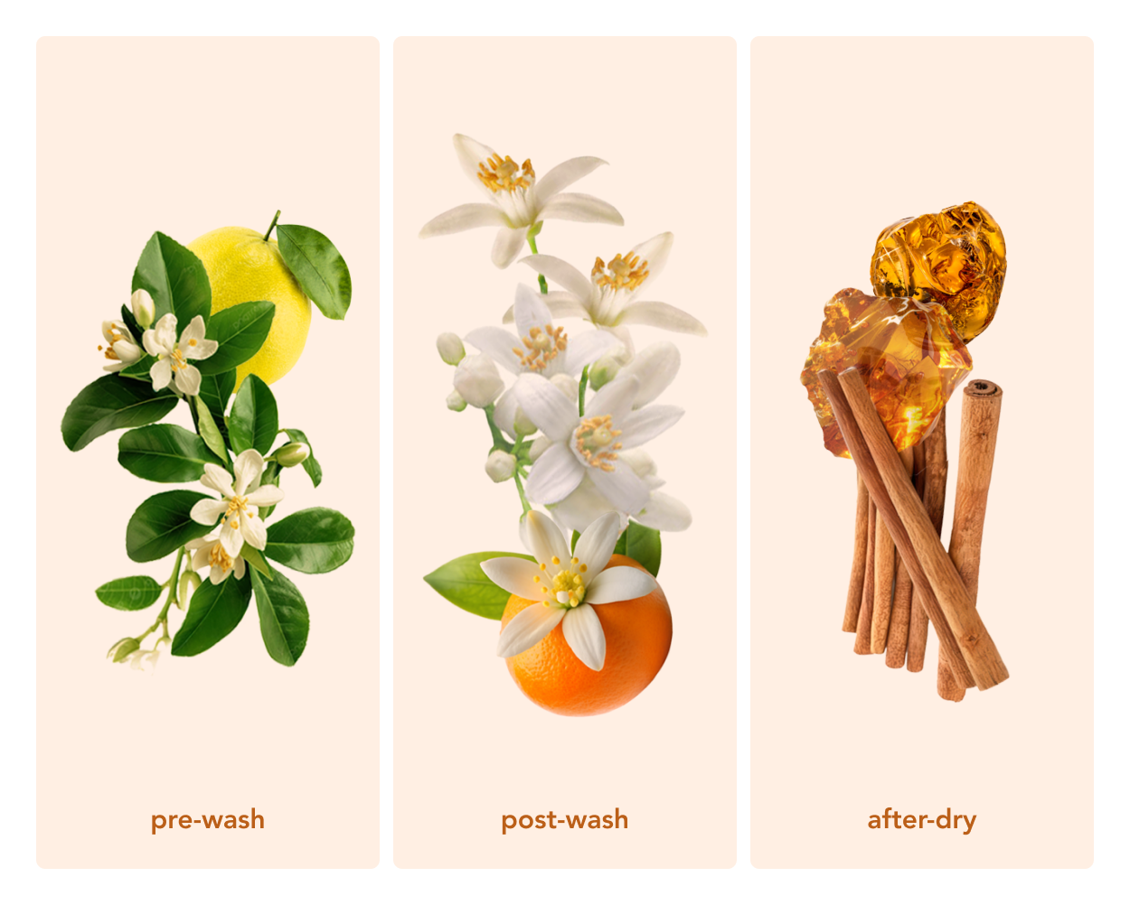 Zero Waste Laundry Detergent Sheets (Neroli Zen)