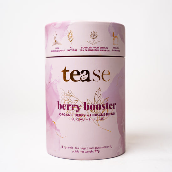 Berry Booster, Immunity Tea Blend | Compostable Pyramid Bags