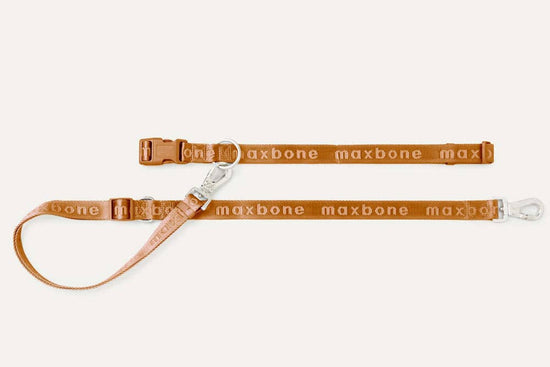 Go With Ease! Hands Free Leash-Brown
