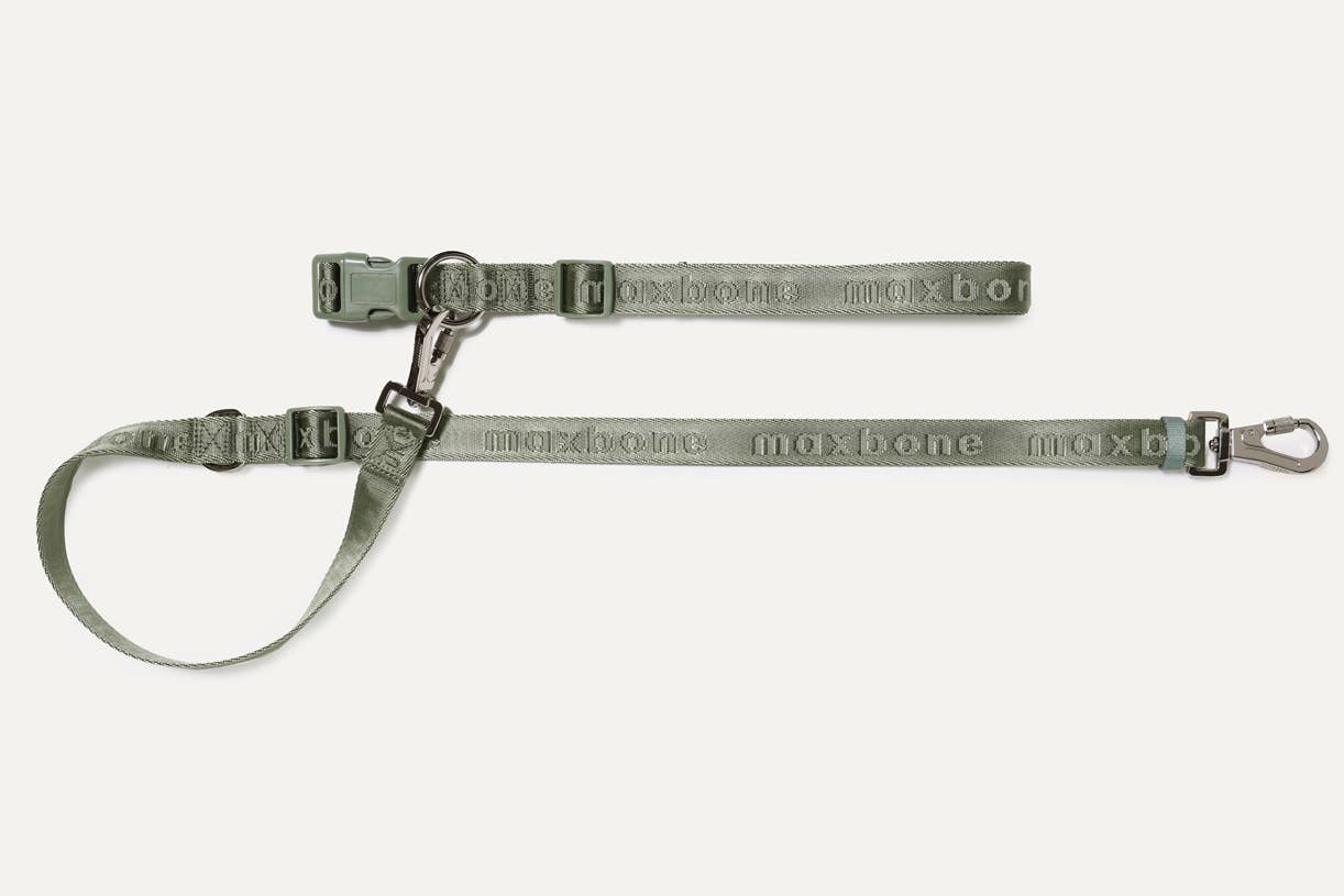 Load image into Gallery viewer, Go With Ease! Hands Free Leash- Sage
